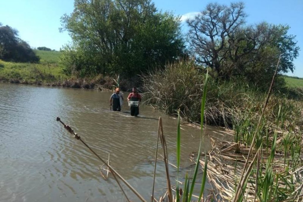 La tarea demanda una inversión pública que supera los 15 millones de pesos.