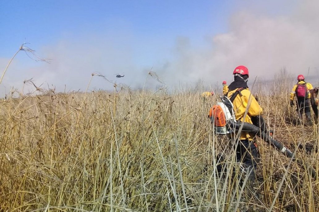 El combate está a cargo de unos 20 expertos del Plan de Manejo del Fuego.