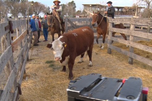 Hereford se floreó en la 128 Expo Ganadera de la Sociedad Rural de Gualeguaychú