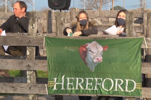 Hereford se floreó en la 128 Expo Ganadera de la Sociedad Rural de Gualeguaychú