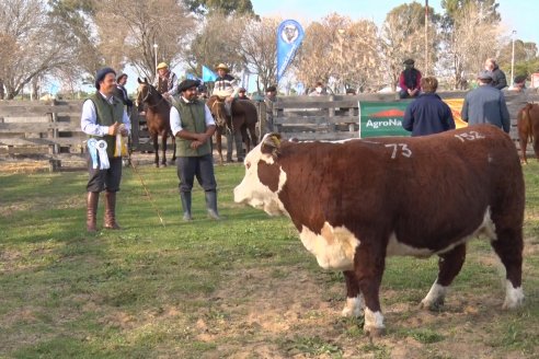 Hereford se floreó en la 128 Expo Ganadera de la Sociedad Rural de Gualeguaychú