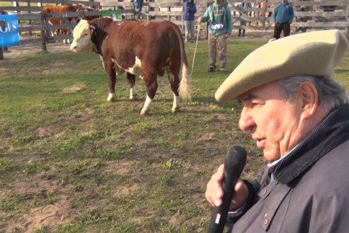 Hereford se floreó en la 128 Expo Ganadera de la Sociedad Rural de Gualeguaychú