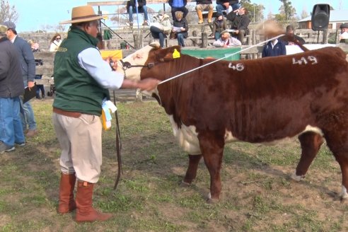 Hereford se floreó en la 128 Expo Ganadera de la Sociedad Rural de Gualeguaychú