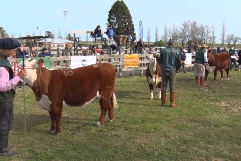 Hereford se floreó en la 128 Expo Ganadera de la Sociedad Rural de Gualeguaychú