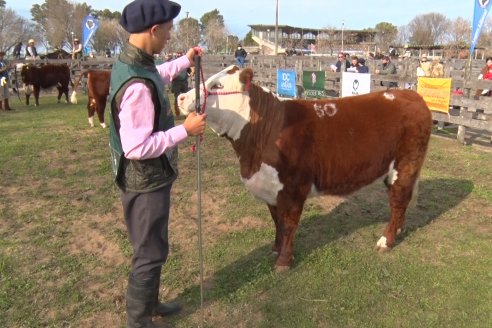 Hereford se floreó en la 128 Expo Ganadera de la Sociedad Rural de Gualeguaychú