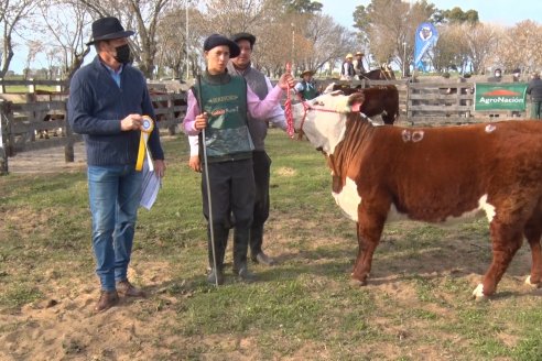 Hereford se floreó en la 128 Expo Ganadera de la Sociedad Rural de Gualeguaychú