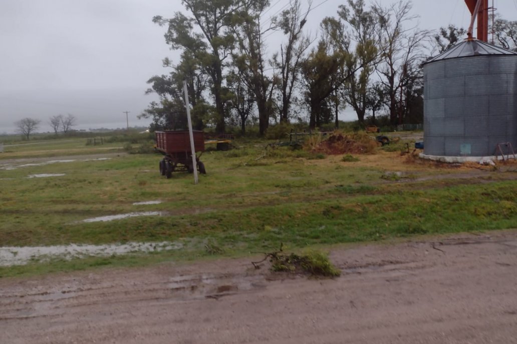 Los productores van sumando humedad para usar en esta primavera/verano.