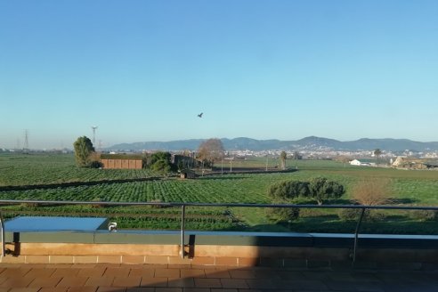 Claves sobre el uso sustentable del suelo en áreas periurbanas