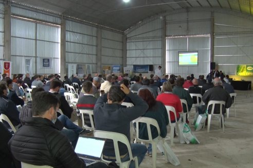 32° Jornada Nacional del Cultivo de Arroz - Campo Experimental Fundación Proarroz - San Salvador, Entre Ríos