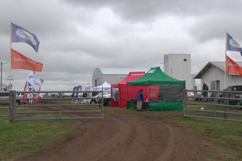 32° Jornada Nacional del Cultivo de Arroz - Campo Experimental Fundación Proarroz - San Salvador, Entre Ríos