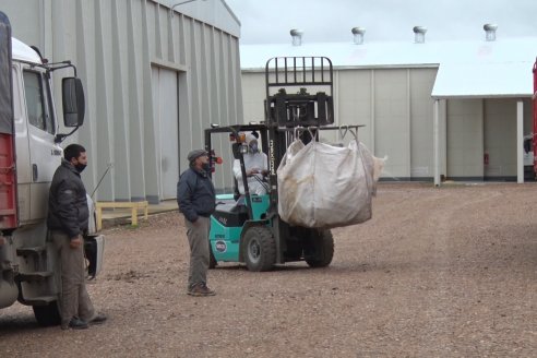 Campaña Itinerante de Recolección de Envases Vacios de Fitosanitarios  CampoLimpio en Daser Agro - Victoria