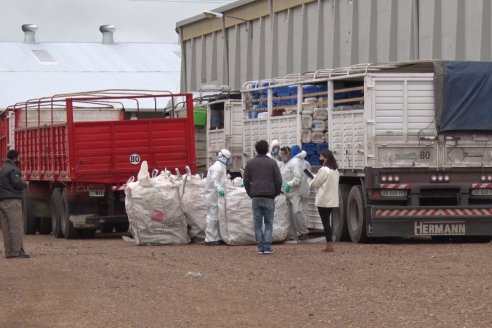 Campaña Itinerante de Recolección de Envases Vacios de Fitosanitarios  CampoLimpio en Daser Agro - Victoria