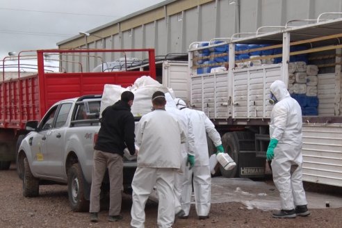 Campaña Itinerante de Recolección de Envases Vacios de Fitosanitarios  CampoLimpio en Daser Agro - Victoria