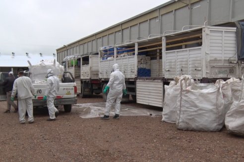 Campaña Itinerante de Recolección de Envases Vacios de Fitosanitarios  CampoLimpio en Daser Agro - Victoria