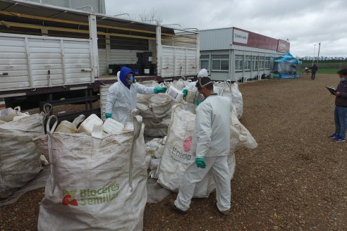 Campaña Itinerante de Recolección de Envases Vacios de Fitosanitarios  CampoLimpio en Daser Agro - Victoria