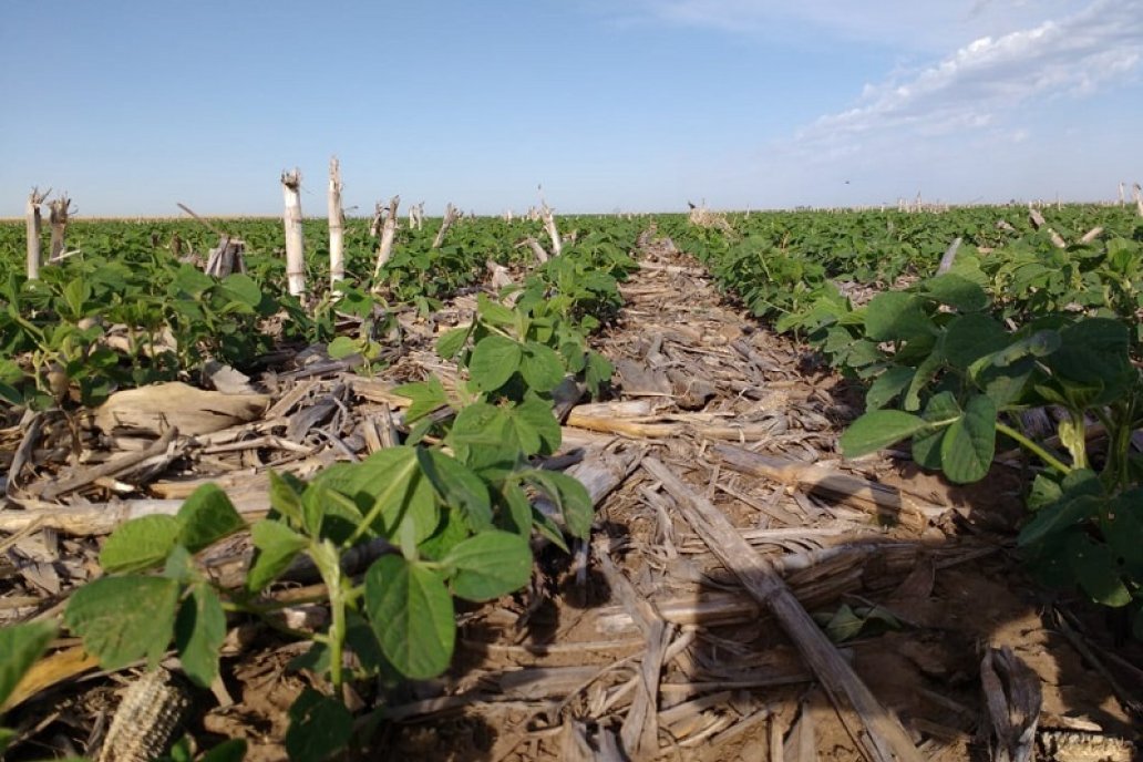 Cultivar talento es una de las síntesis de la cita para productores asociados.