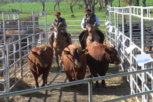 Emotiva celebración de los 25 años de Cabaña Bototí Picú