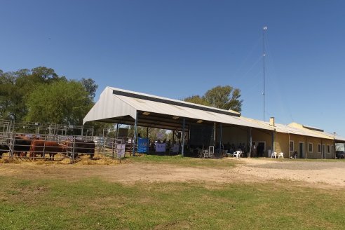 Cabaña Bototí Picú - 7° Remate Anual y 25 Aniversario - Aldea San Juan, Entre Ríos