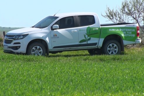 Ensayo de Trigo - Coop.Agric.Mixta La Protectora Ltda. - Colonia La Buena Vista, Dpto Gualeguay