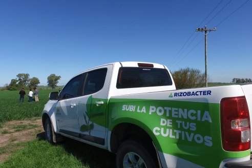 Ensayo de Trigo - Coop.Agric.Mixta La Protectora Ltda. - Colonia La Buena Vista, Dpto Gualeguay