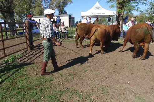 3ra.Jura Fenotípica de la 6ta. Prueba Pastoril Angus del Litoral - Estancia San Esteban - Ramirez, Entre Ríos