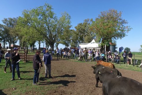 3ra.Jura Fenotípica de la 6ta. Prueba Pastoril Angus del Litoral - Estancia San Esteban - Ramirez, Entre Ríos