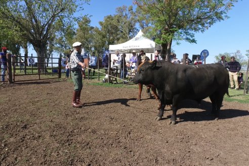 3ra.Jura Fenotípica de la 6ta. Prueba Pastoril Angus del Litoral - Estancia San Esteban - Ramirez, Entre Ríos