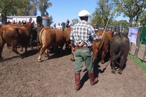 3ra.Jura Fenotípica de la 6ta. Prueba Pastoril Angus del Litoral - Estancia San Esteban - Ramirez, Entre Ríos