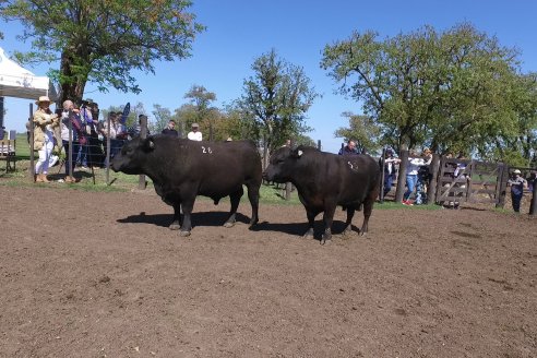 3ra.Jura Fenotípica de la 6ta. Prueba Pastoril Angus del Litoral - Estancia San Esteban - Ramirez, Entre Ríos