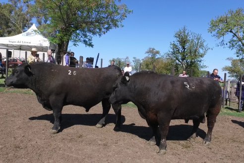 3ra.Jura Fenotípica de la 6ta. Prueba Pastoril Angus del Litoral - Estancia San Esteban - Ramirez, Entre Ríos