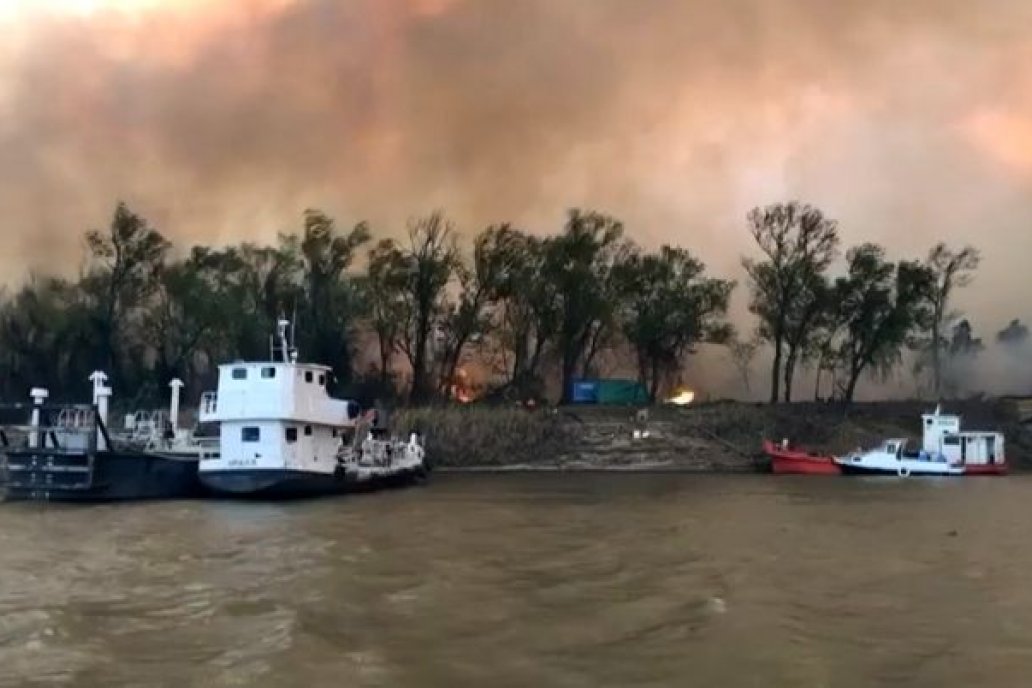 Para reducir incendios en islas estudian modelos de manejo ganadero.