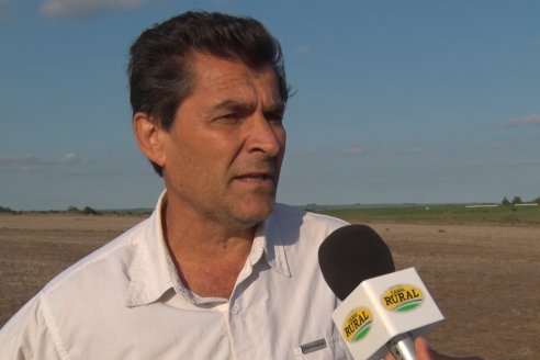 "Los nacimientos del maíz son estupendos, hay entusiasmo"