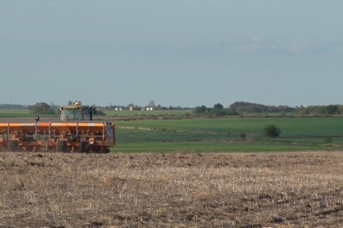 Siembra de Maiz en Tezano Pintos - José Dittrich INSER S.A. - 