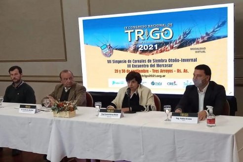 El trigo fue el centro de atención entre expertos del mundo