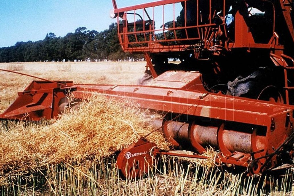 Piden cobrar 9.165 pesos por hectárea y en Entre Ríos la tarifa es de 5.000