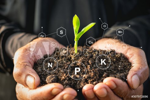 Verdesian: revoluciona el mercado en tratamiento de fertilizantes