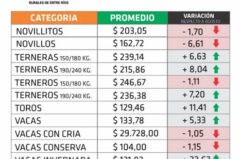 El precio de la vaca para invernada subió 22,63% durante septiembre