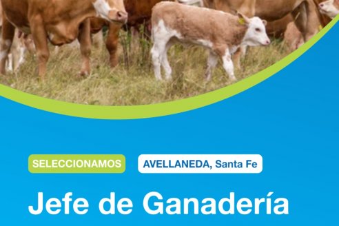 Cadena de Valor selecciona aspirantes a jefe de Ganadería para Avellaneda, en Santa Fe