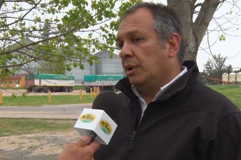 Gustavo Bearzi - COOPAR Victoria - La colza recupera espacios en el calendario agrícola entrerriano