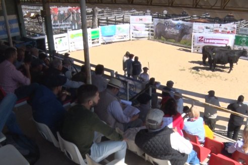 Remate de la 6ta Prueba Pastoril Angus del Litoral - Sociedad Rural de Hasenkamp - Entre Ríos