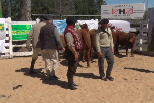 Remate de la 6ta Prueba Pastoril Angus del Litoral - Sociedad Rural de Hasenkamp - Entre Ríos