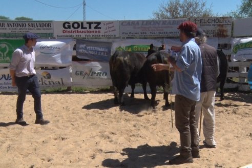 Remate de la 6ta Prueba Pastoril Angus del Litoral - Sociedad Rural de Hasenkamp - Entre Ríos