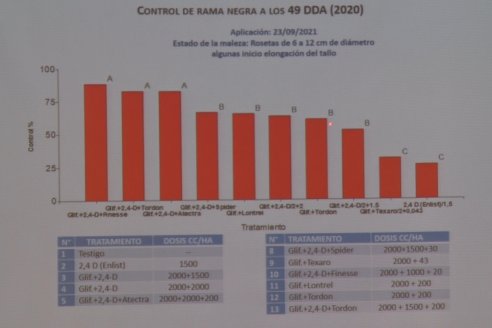 Jornada Capacitación Manejo de Malezas Dificiles - INSER y Syngenta - Victoria, Entre Ríos