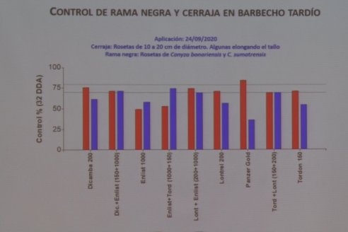 Jornada Capacitación Manejo de Malezas Dificiles - INSER y Syngenta - Victoria, Entre Ríos