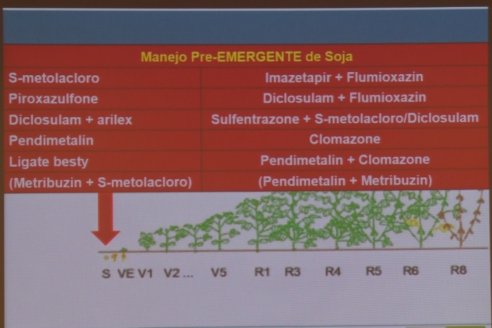 Jornada Capacitación Manejo de Malezas Dificiles - INSER y Syngenta - Victoria, Entre Ríos