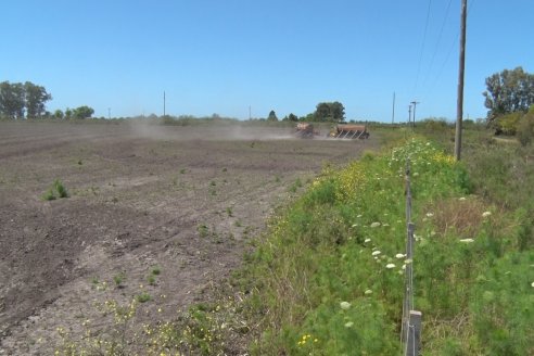 Marcelo Cattaneo - Productor Agropecuario - Siembra de Arroz en Colonia La Mora, Dpto. Villaguay