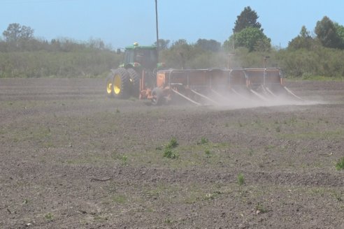 Marcelo Cattaneo - Productor Agropecuario - Siembra de Arroz en Colonia La Mora, Dpto. Villaguay