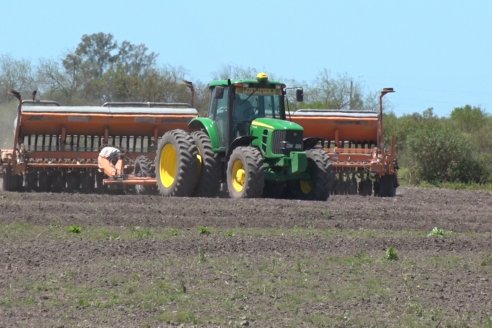 Marcelo Cattaneo - Productor Agropecuario - Siembra de Arroz en Colonia La Mora, Dpto. Villaguay