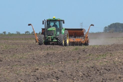 Marcelo Cattaneo - Productor Agropecuario - Siembra de Arroz en Colonia La Mora, Dpto. Villaguay