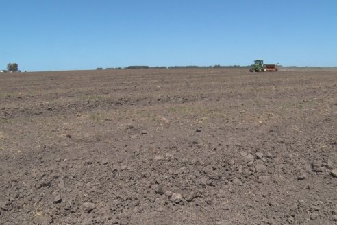 Marcelo Cattaneo - Productor Agropecuario - Siembra de Arroz en Colonia La Mora, Dpto. Villaguay